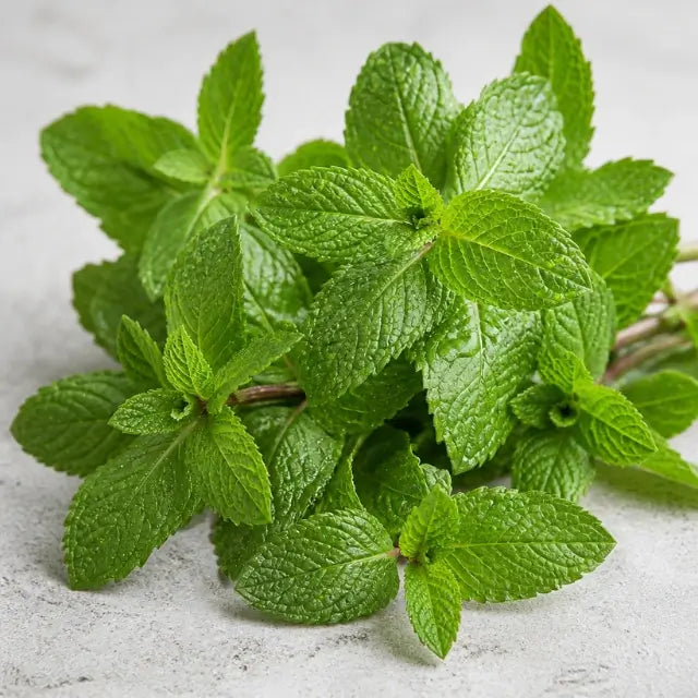 Peppermint Oil