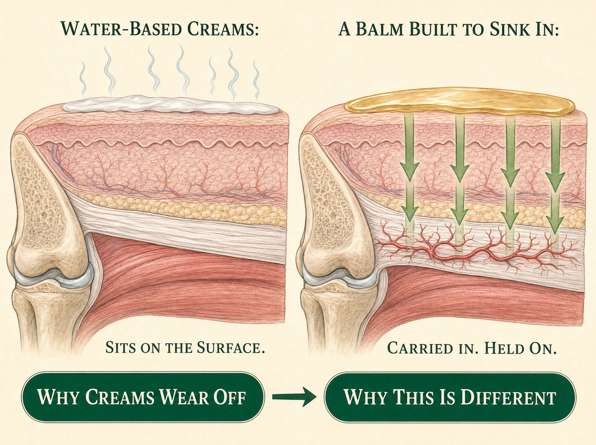 Water-based creams sit on the surface; the balm is carried in and held on
